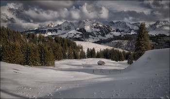 Alpenpanorama / ***