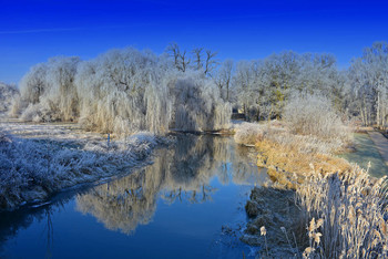 Emperor weather on a beautiful winter day / Es sah aus wie in einem Märchen, die Puderbezuckerten Bäume und dann noch bei Kaiserwetter, ein Traum