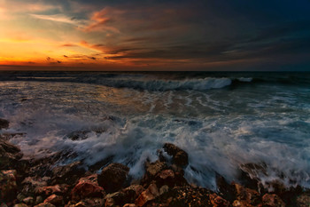 surf / ***