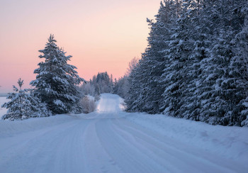 Winter road / ***