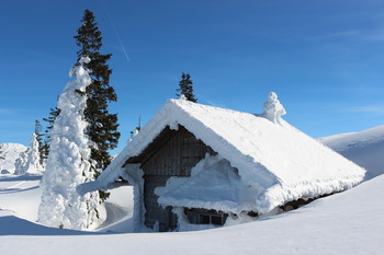 Traumhafter Wintertag / ***