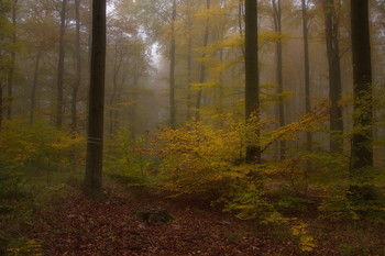 About autumn ... / ***