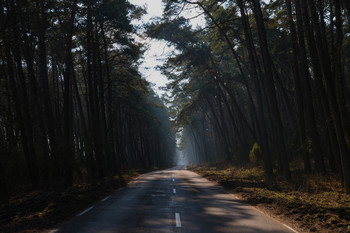 Road / ***