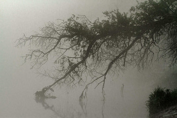 Traum / ***
