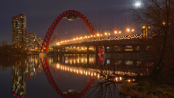 night city lights / ***