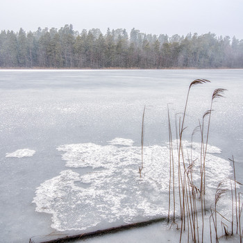 Im Schneesturm / ***