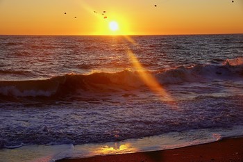 Golden ray of sunlight / ***