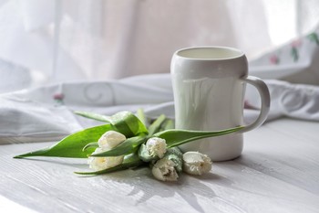 White tulips / ***