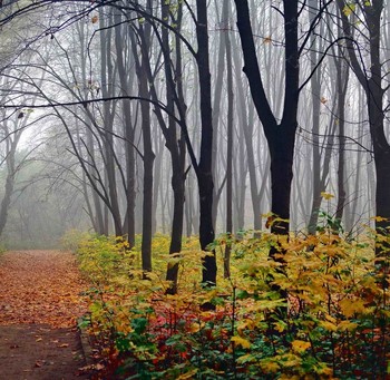 Herbst / ***