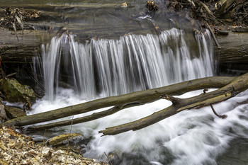 Cascade over Log / This little cascade over a log made a pretty picture
