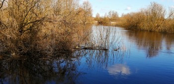 Spring River / ***
