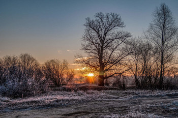 Winter fog / ***
