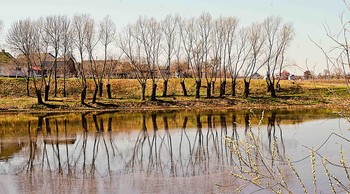 Frühlingslandschaft / ***