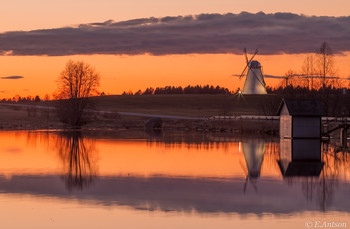 spring twilight / ***