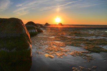 Finnischen Meerbusen / ***