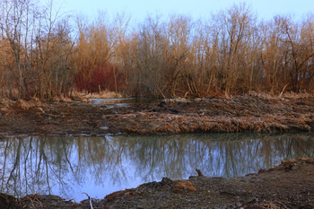 Small river / ...