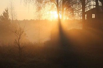 The smell of autumn / ***
