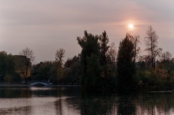 «Pink evening. Autumn silence» / ***