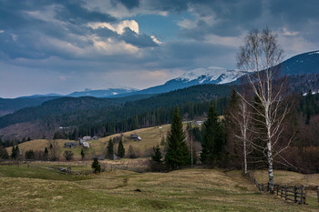 &nbsp; / [img]https://i.imgur.com/aDB9Unn.jpg[/img]
[img]https://i.imgur.com/u4GgtNA.jpg[/img]
