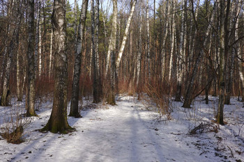 Warten auf den Frühling / ...