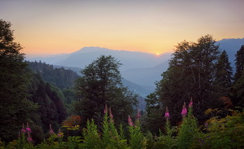 Sunset in the mountains / ***