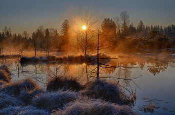 Sonnenaufgang im Moor / Heute früh Sonnenaufgang im Moor aufgenommen