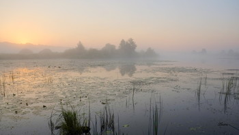 In the fog. / ***