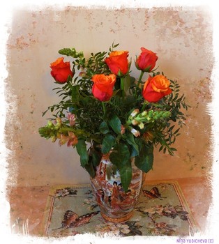 Roses / ***