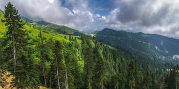 Summer in the mountains / ***
