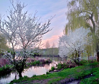 Frühlingsmorgen / ***