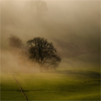 ... in the morning colors ... / ***