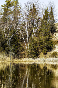 Beautiful Wilderness Scene / I saw this beautiful wilderness scene along the side of the road