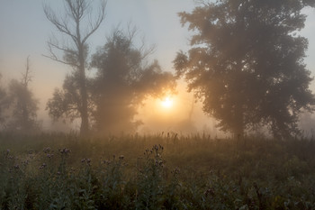 Sunrise / ***