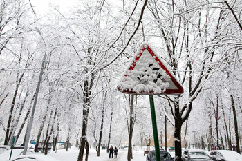 &nbsp; / •••
雪