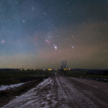 Orion / ***