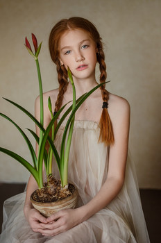 Blumen / ***