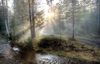 Through the mist / ***