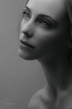 Alexander Krivitskiy / ***
