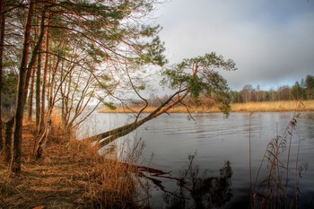 By the river / ***