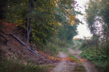 über Herbst / ***