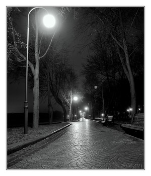 Nacht Allee / [img]https://i.imgur.com/gX9zz3E.jpg[/img]