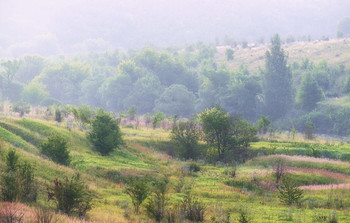in der Dämmerung Nebel / ***