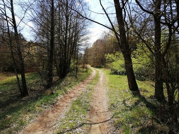 Forststraße / ***