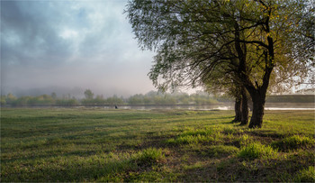 Aprilmorgen / ***
