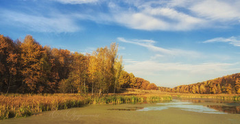 Eyes, the charm ... / ***