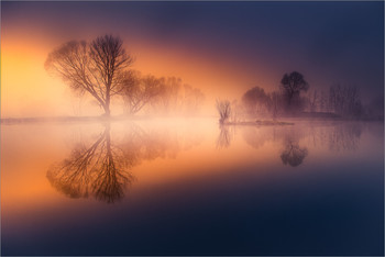 Die Kraft des Lichts / Morgens an einen kleinen Teich in der Steiermark.