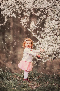 Spring / ***