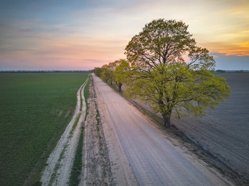 April road / ***