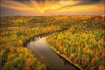 &nbsp; / Autumn