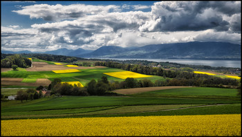 Lac de Neuchatel / Panorama